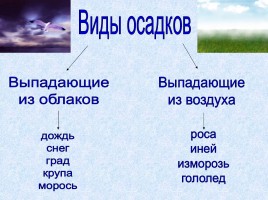 Осадки выпадающие из облаков. Виды осадков. Виды атмосферных осадков. Осы виды. Атмосферные осадки виды.