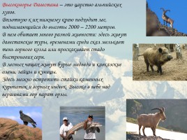 Классный час «2016 год гор в Дагестане», слайд 46