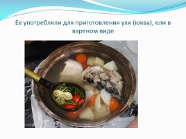 Традиционная пища «Рыба», слайд 3