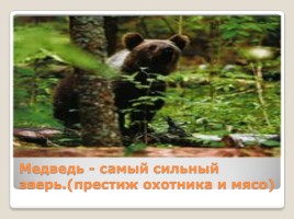 Промысловые животные России, слайд 6