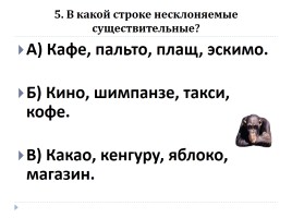 Тест по русскому языку «Имя существительное», слайд 6