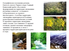 Кавказский биосферный заповедник, слайд 3