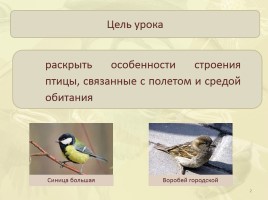 Общая характеристика класса - Среда обитания - Внешнее строение птиц, слайд 2