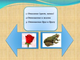 В.М. Гаршин «Сказка о жабе и розе», слайд 7