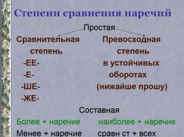 Урок русского языка в 10 классе «Наречие как часть речи», слайд 6