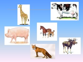 Окружающий мир 3 класс «Животноводство», слайд 5
