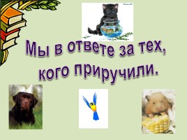 Урок литературного чтения 2 класс на тему С. Михалков «Мой щенок», слайд 17