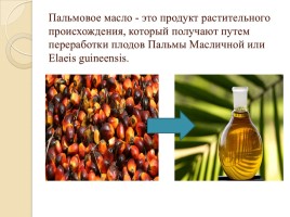 Пальмовое масло - вред или польза, слайд 6