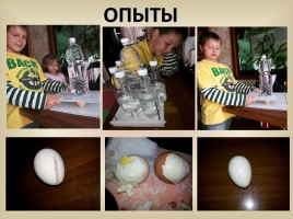 Секреты куриного яйца, слайд 6