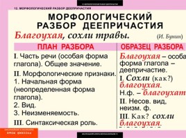 Таблицы по русскому языку, слайд 41