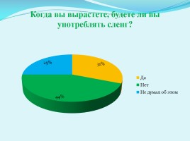 Проект «Молодежный сленг в речи учащихся моей школы», слайд 13