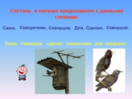 Урок русского языка в 5 классе «Разряды существительных по значению», слайд 10