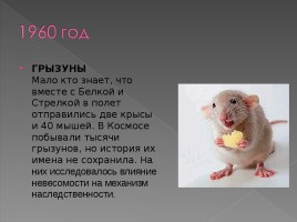 Животные в космосе, слайд 11