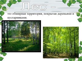 Окружающий мир 4 класс «Жизнь леса», слайд 2