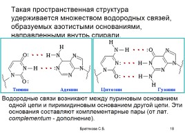 Нуклеиновые кислоты (органическая химия), слайд 18