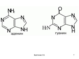 Нуклеиновые кислоты (органическая химия), слайд 7