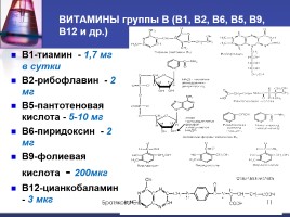 Витамины (органическая химия), слайд 11