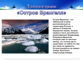 Заповедник «Остров Врангеля», слайд 2