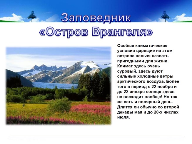 Климат здесь суровый. Заповедник остров Врангеля климат. Климат заповедника Врангеля. Остров Врангеля климатические условия. Заповедник остров Врангеля презентация.