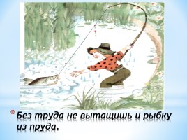 Русские народные пословицы и поговорки, слайд 16