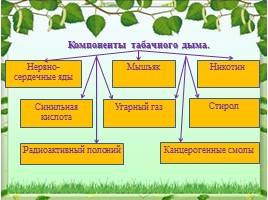 Социальная экология, слайд 12