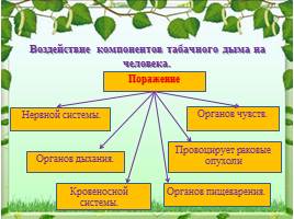 Социальная экология, слайд 13