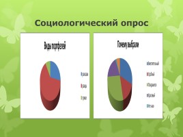 Исследовательская работа «Портфель ученика начальной школы», слайд 24