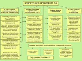 Обществознание 11 класс «Органы государственной власти в РФ», слайд 11