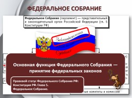 Обществознание 11 класс «Органы государственной власти в РФ», слайд 13