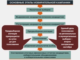 Обществознание 11 класс «Избирательная кампания в РФ», слайд 10