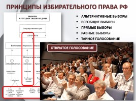 Обществознание 11 класс «Избирательная кампания в РФ», слайд 9