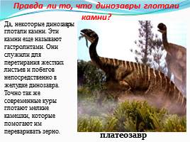 Динозавры - животные прошлого, слайд 14