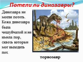 Динозавры - животные прошлого, слайд 19