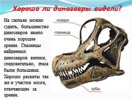 Динозавры - животные прошлого, слайд 2