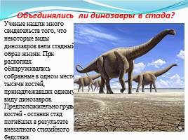 Динозавры - животные прошлого, слайд 3