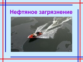Азовское море, слайд 14