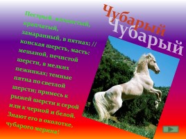 Какого цвета лошадь? - Значение слов, обозначающих масть лошадей, слайд 3