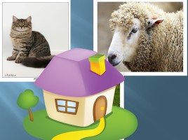 Игра для развития зрительного внимания и памяти «Домашние животные», слайд 4