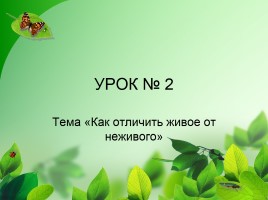 Урок носов живое пламя 7 класс презентация