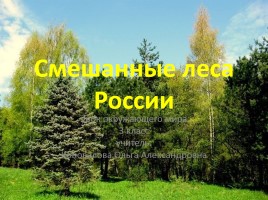 Урок окружающего мира 3 класс «Смешанные леса России», слайд 1