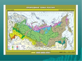 Урок окружающего мира 3 класс «Смешанные леса России», слайд 3