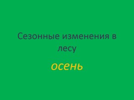 Урок окружающего мира 3 класс «Смешанные леса России», слайд 30