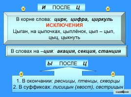 Русский язык 2-4 классы «Таблицы», слайд 22