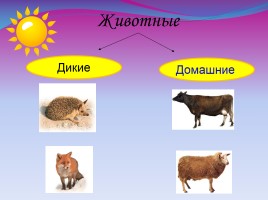 Окружающий мир 2 класс «Дикие и домашние животные», слайд 12