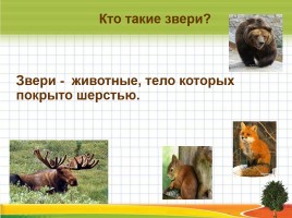 Окружающий мир 1 класс «Кто такие звери?», слайд 27