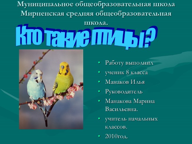 Окружающий мир 1 класс «Кто такие птицы?»