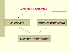 Формирование языковой компетентности учащихся в процессе обучения русскому языку, слайд 3