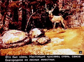 Д. Мамин-Сибиряк «Емеля-охотник», слайд 19