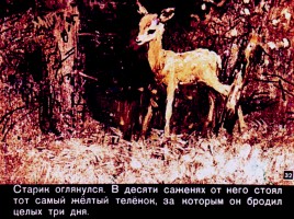 Д. Мамин-Сибиряк «Емеля-охотник», слайд 32