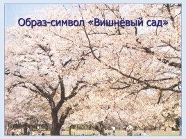 Cимволика и подтекст в комедии А.П. Чехова «Вишнёвый сад», слайд 8